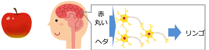 リンゴの認識